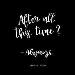 Meet your Posher, Bella morrison